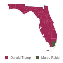 trump rubio florida map