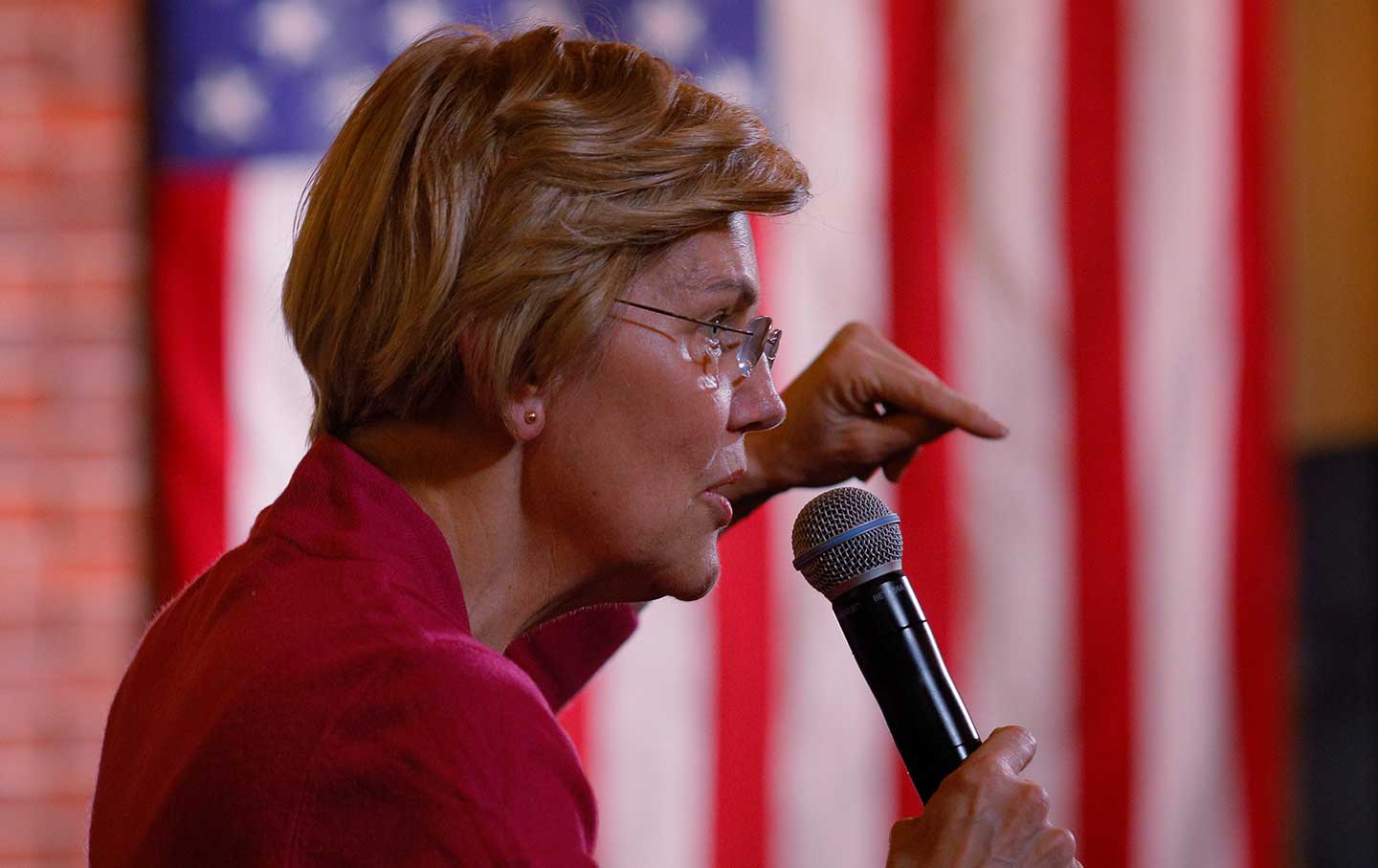 Warren 2020 Democrat