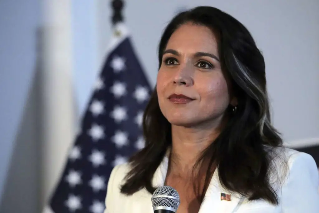 Tulsi Gabbard Third Party Independent Run Possible Election